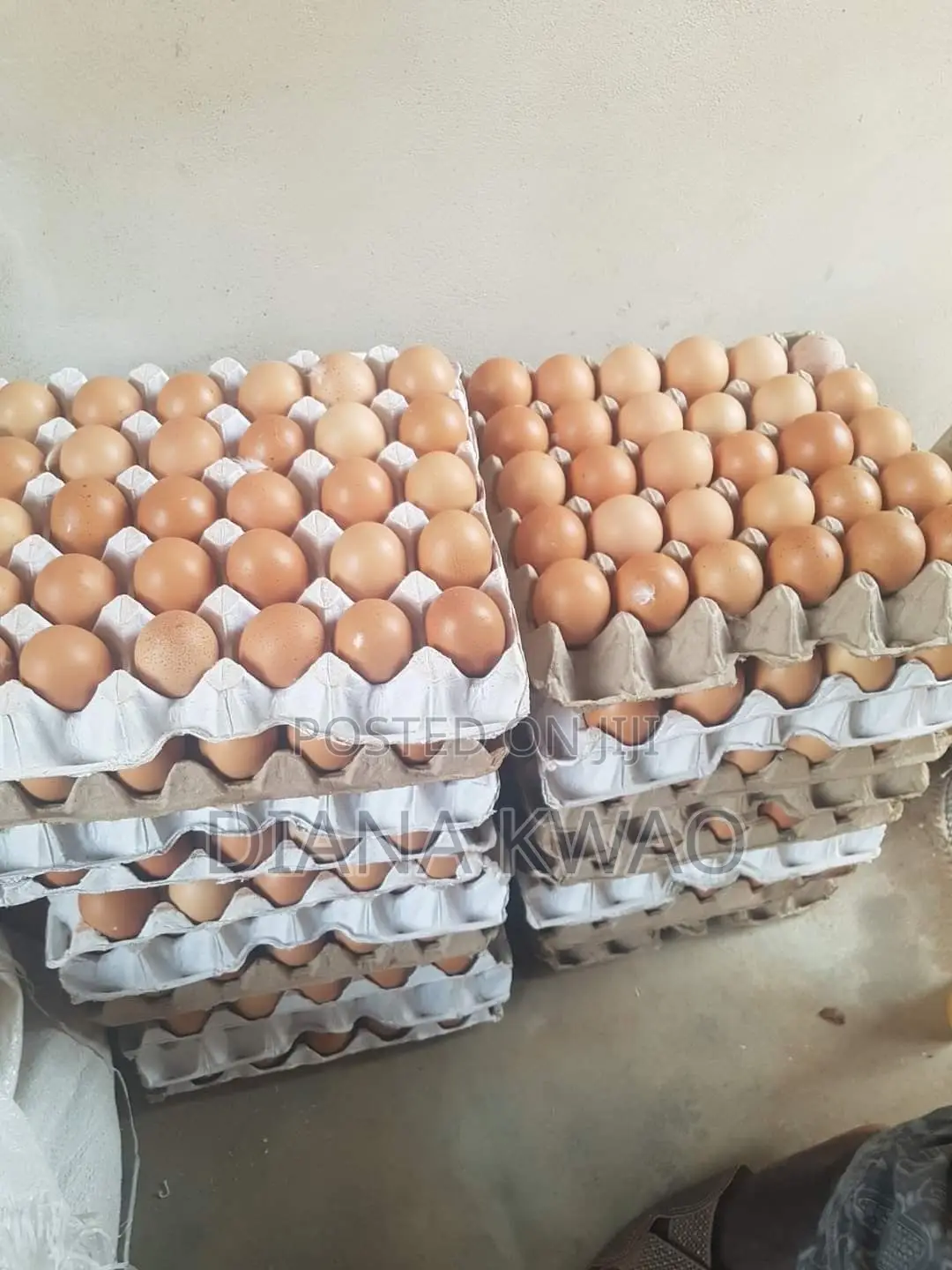 Farm Fresh Organic Eggs