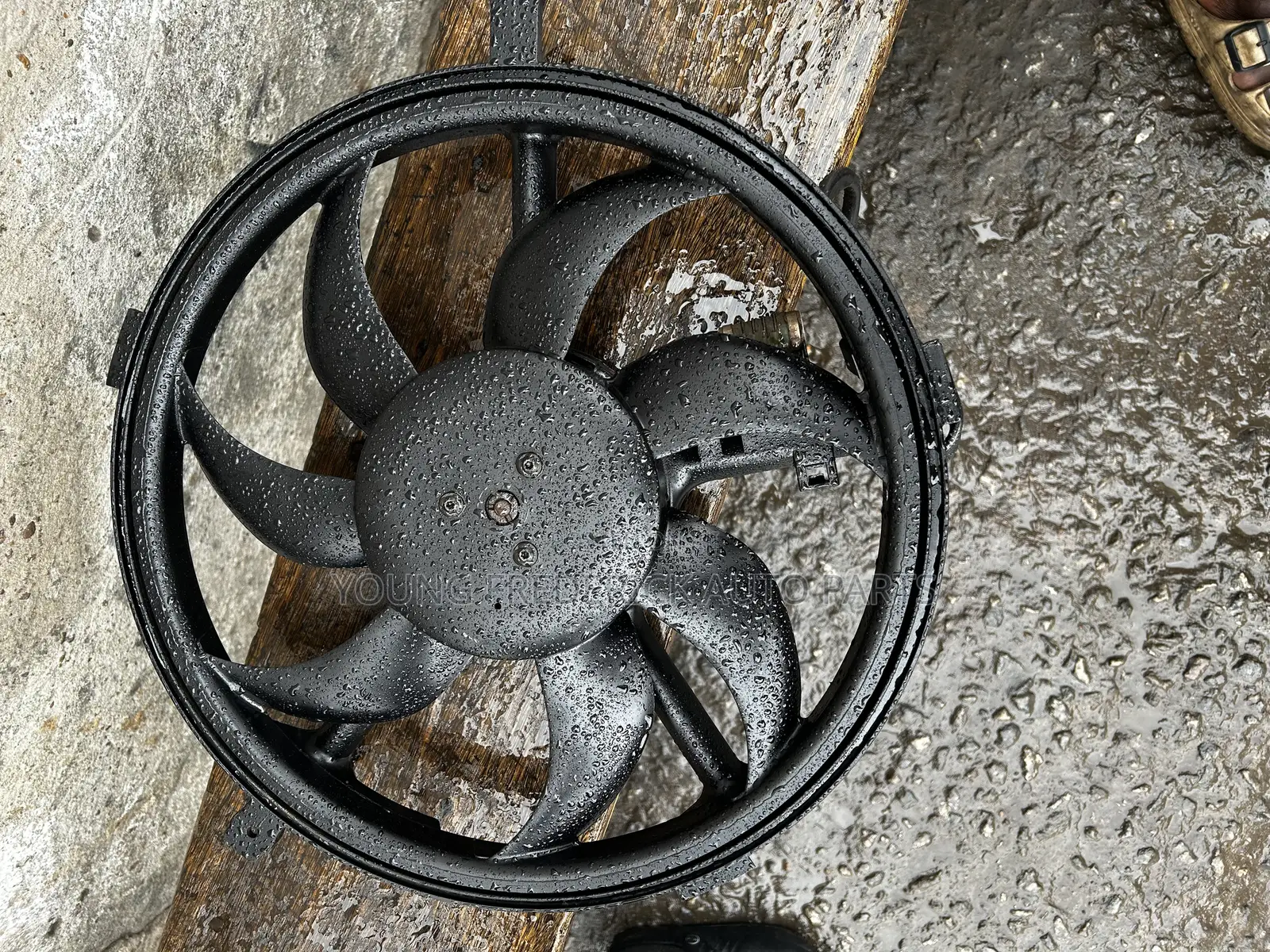 Mini Cooper Fan