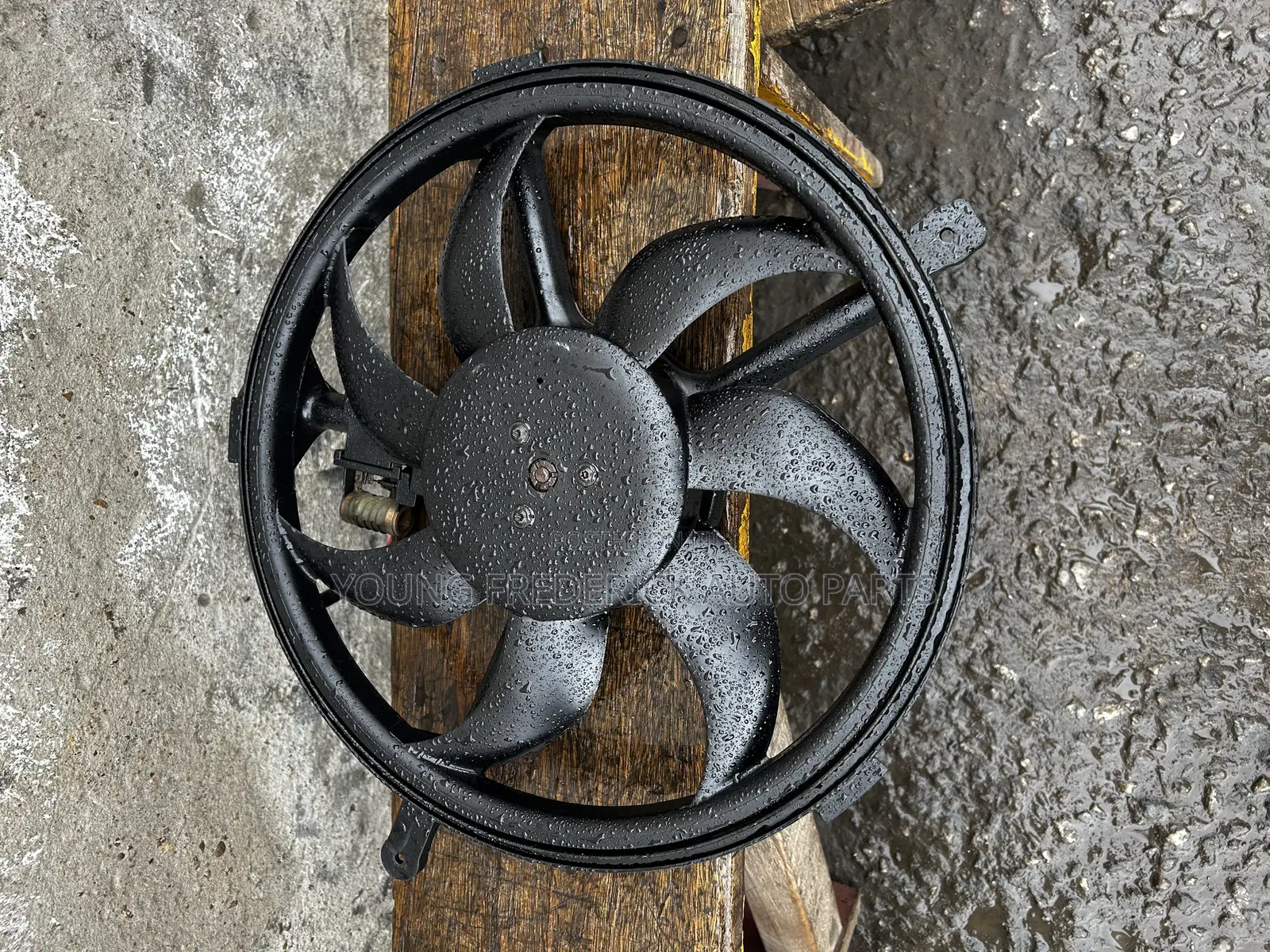 Mini Cooper Fan