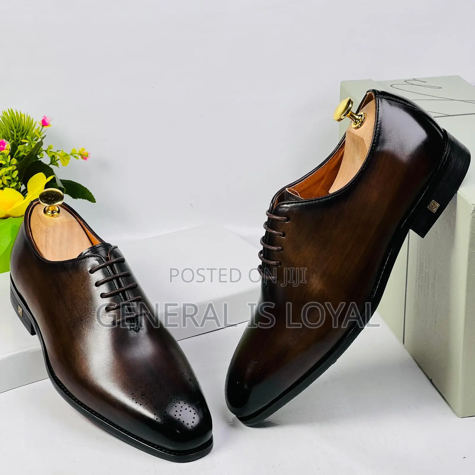 Richwanz Executive Coffee Color Men Shoe