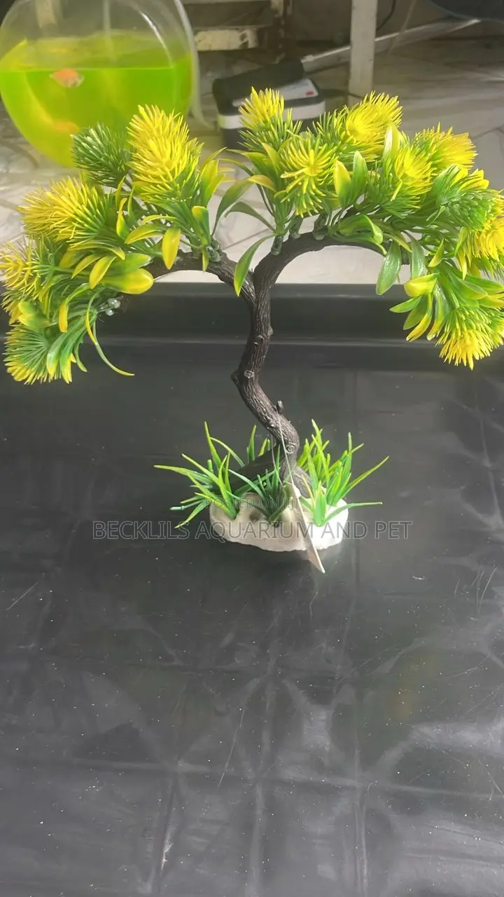 Aquarium Thick Plant