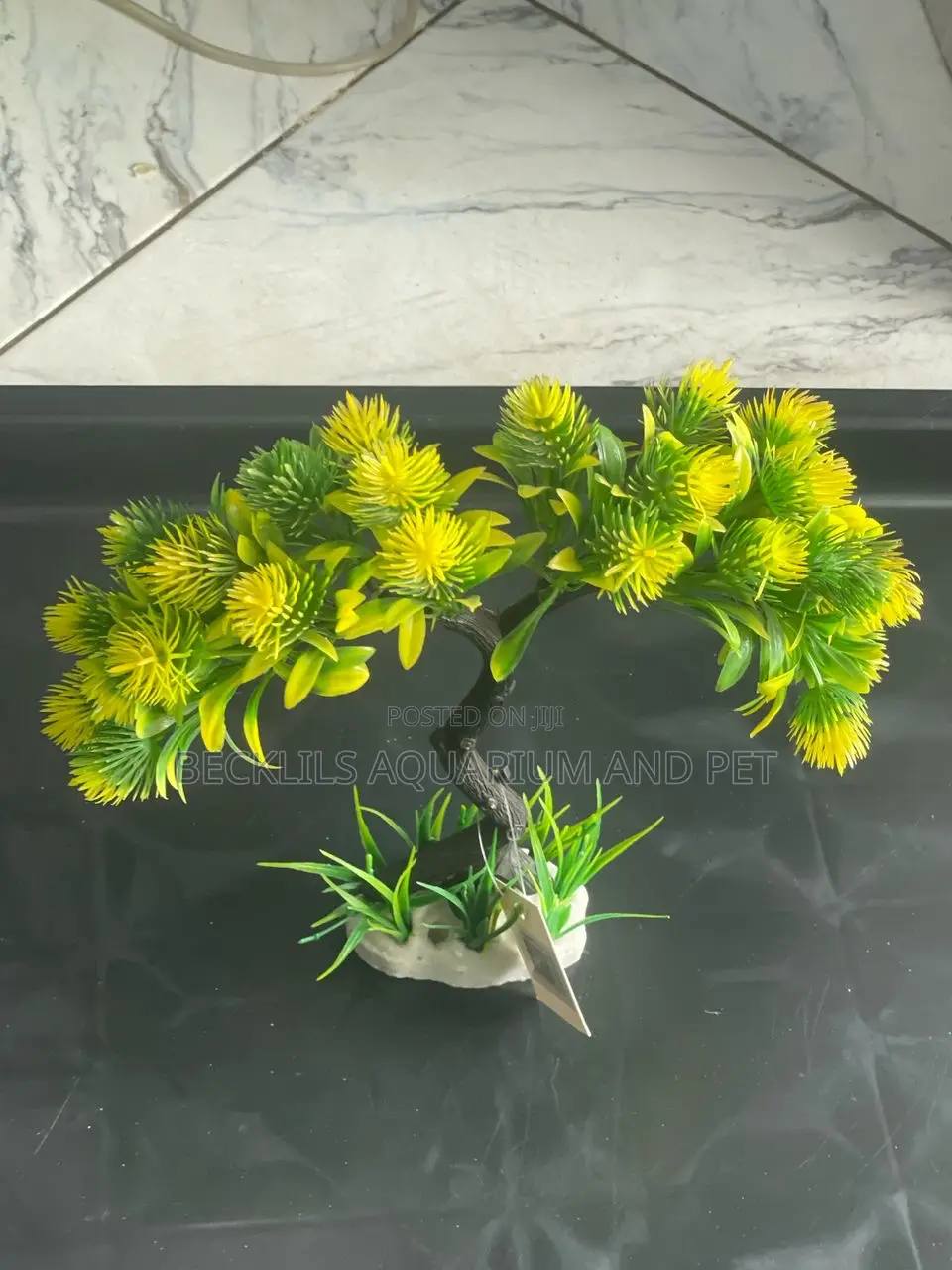 Aquarium Thick Plant