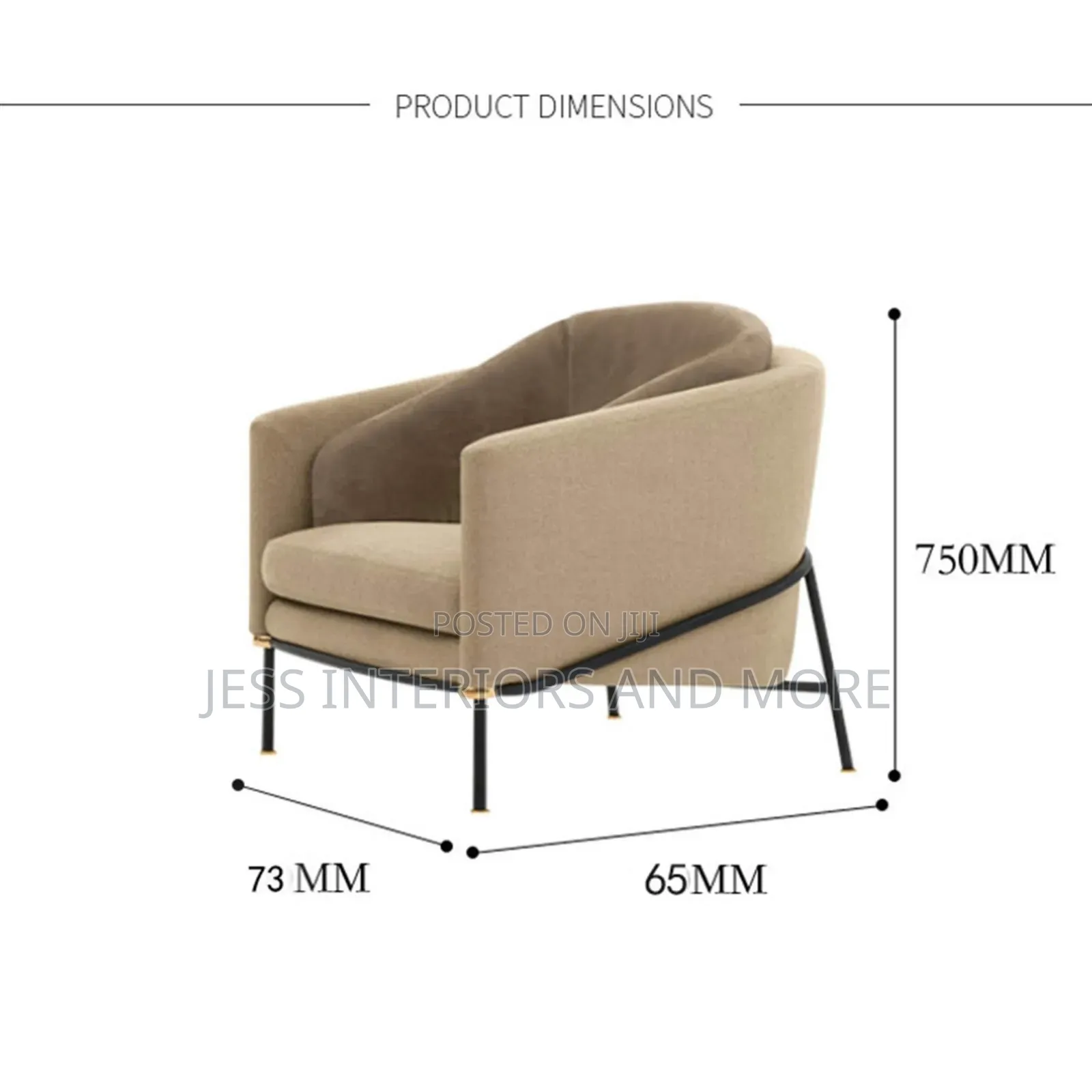 Accent Chair (Lounger)