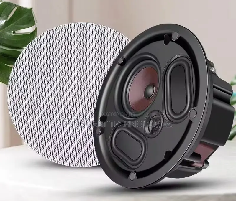Acoustic Passive Ceiling Speakers .