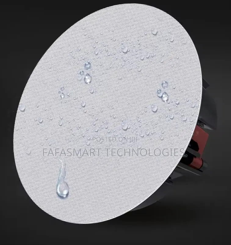 Acoustic Passive Ceiling Speakers .