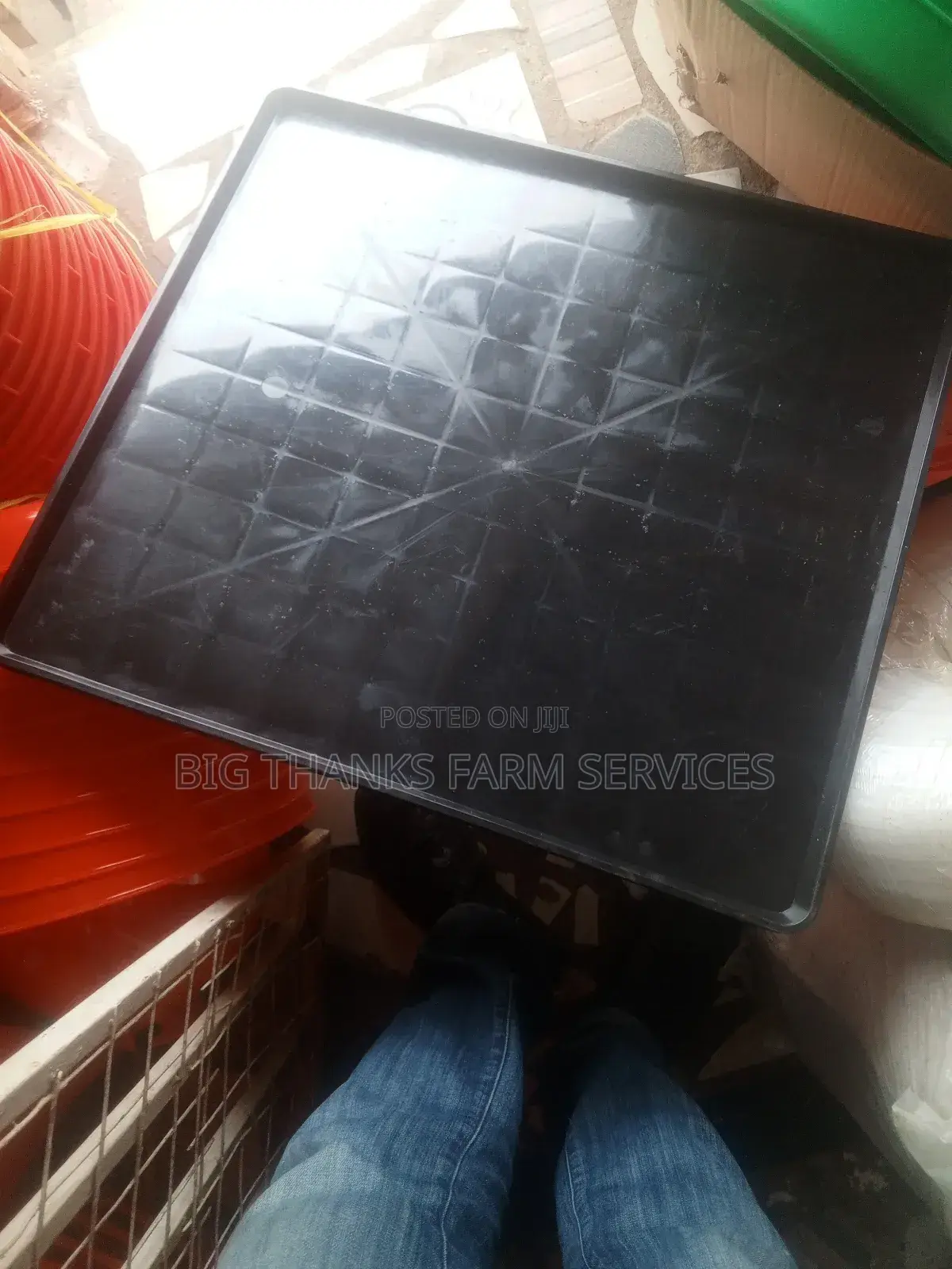 Day Old Feeding Trays,Large Size