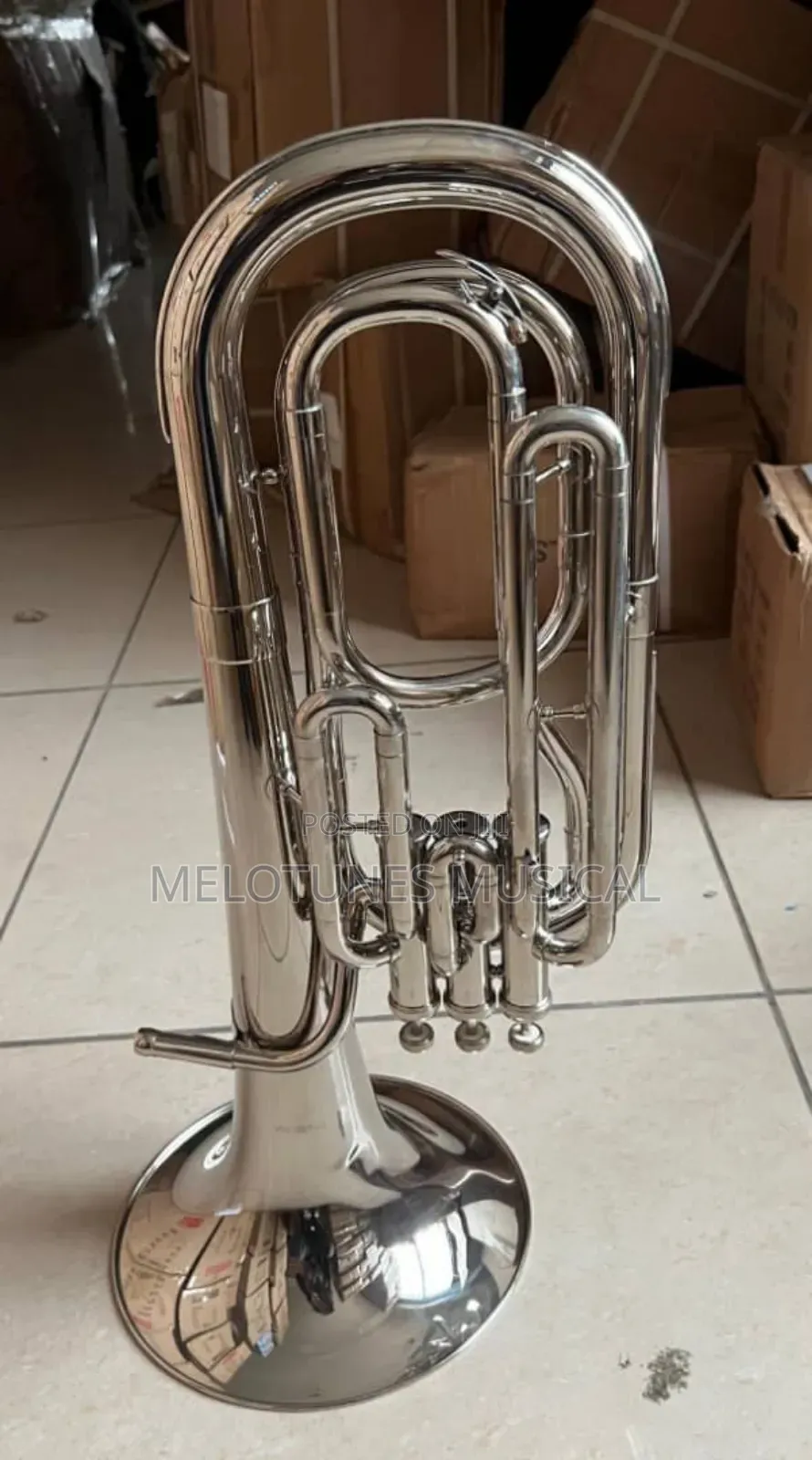 Titanic Professional Euphonium