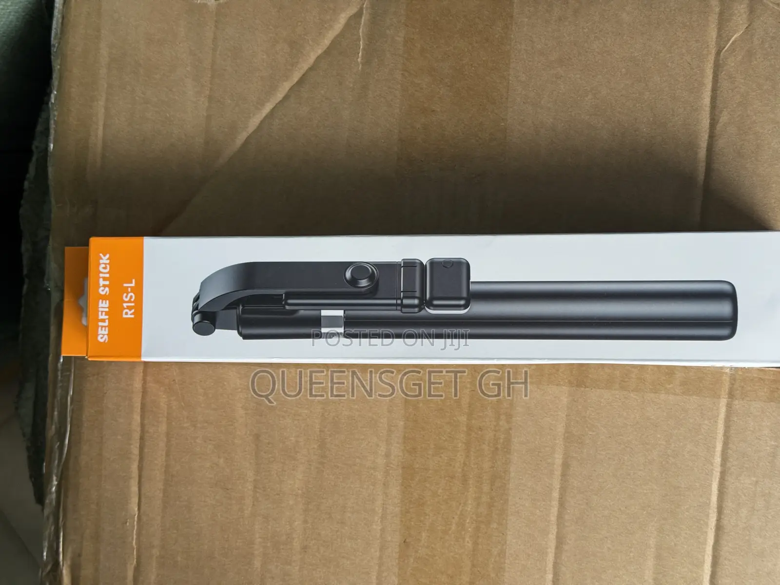 R1s-L Selfie Stick With Light