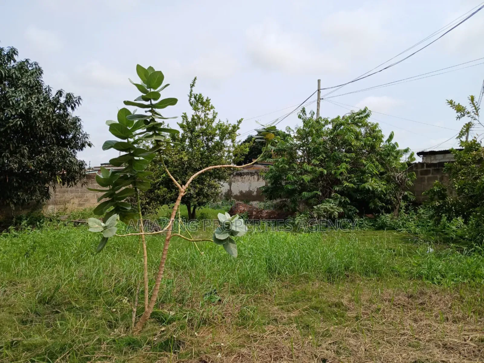 200 Acres of Land for Sale at Upsa Area