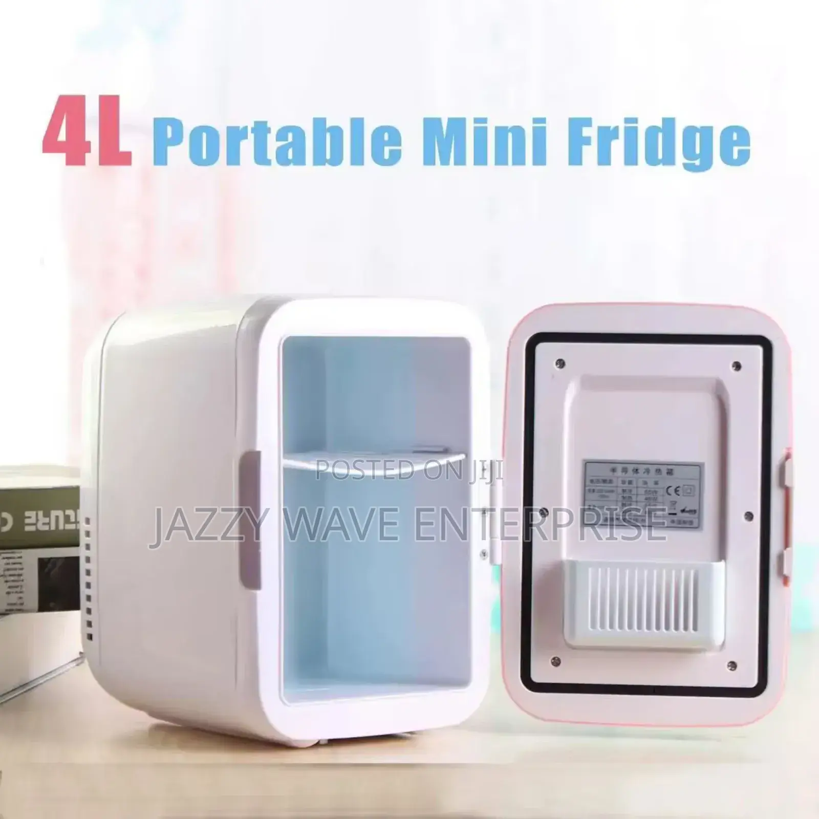 Portable Mini Fridge