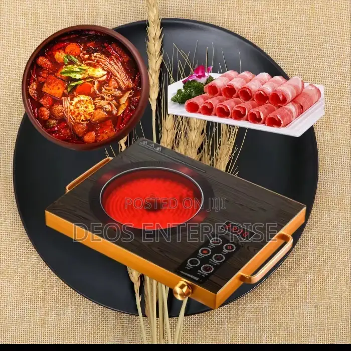 Household Home Kitchen Appliance Electric Infrared Cooker(Raf Brand)