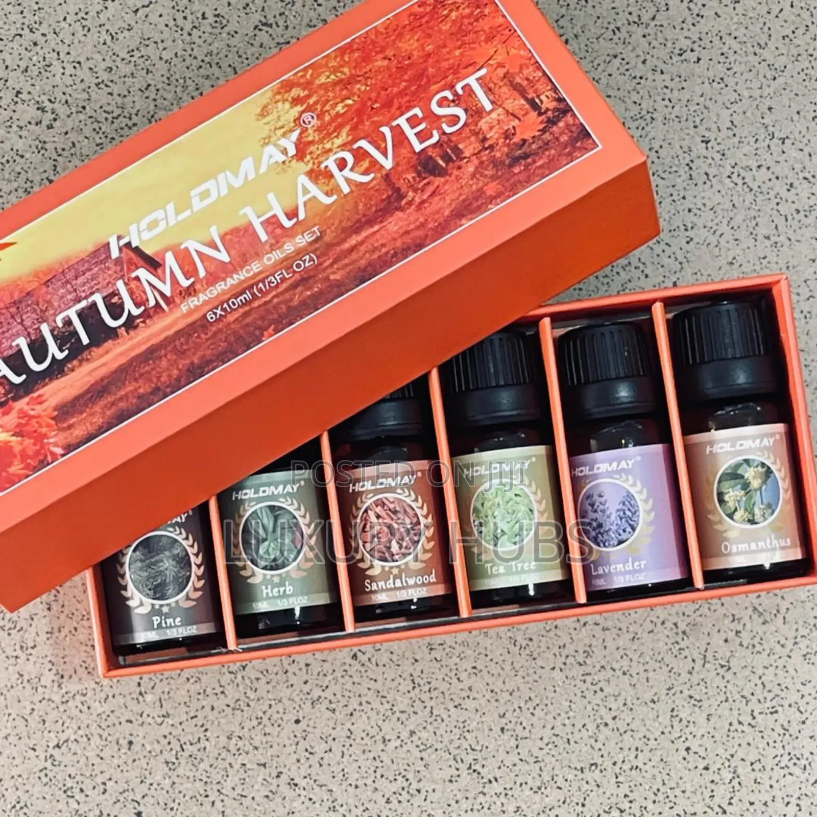 Essential Oils (6pcs Autumn Harvest)