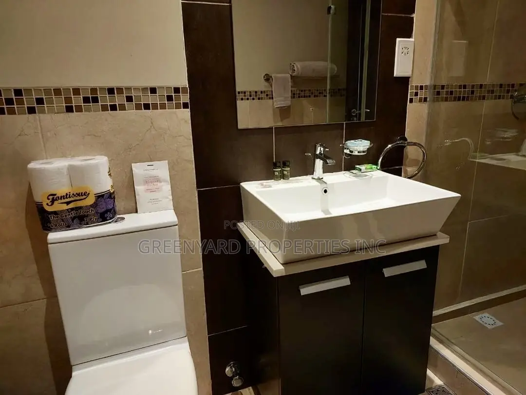 Furnished 1bdrm Apartment in Cantonments for rent