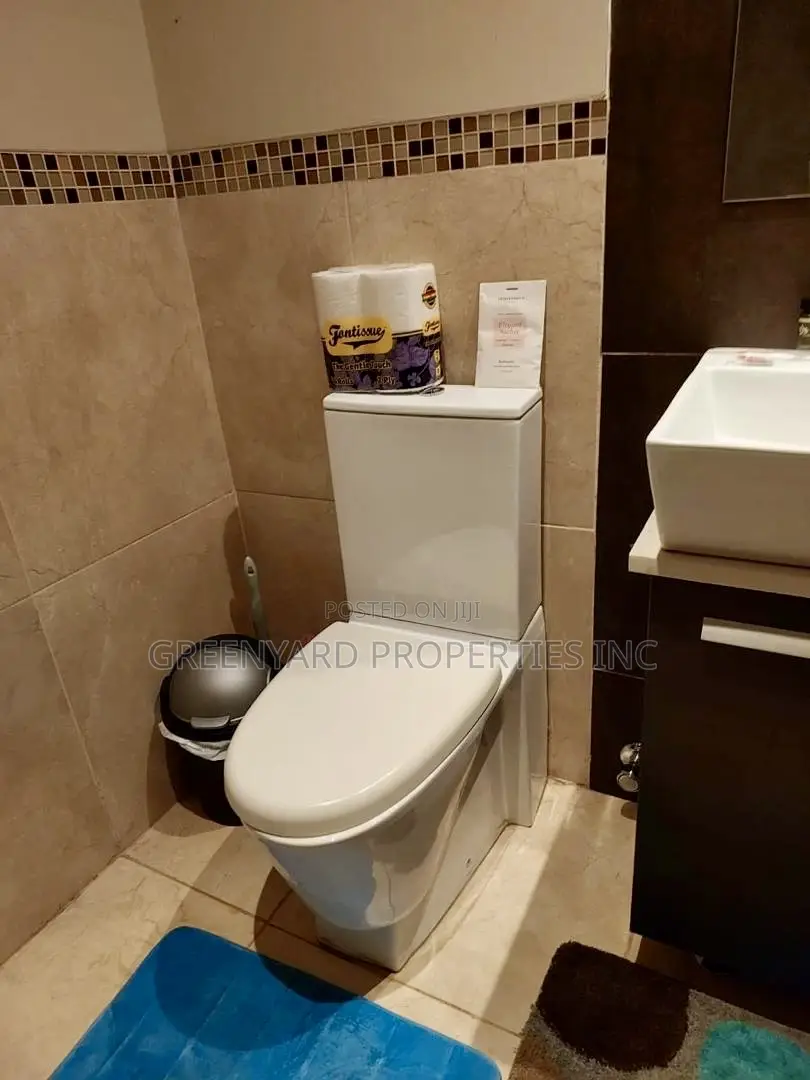 Furnished 1bdrm Apartment in Cantonments for rent