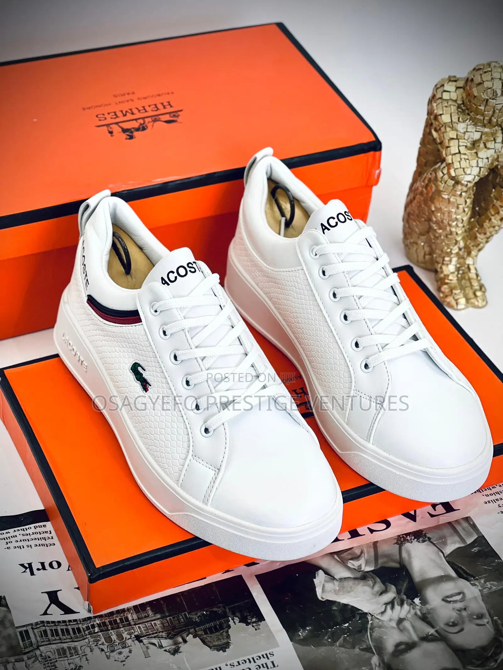 Lacoste All White Sneaker