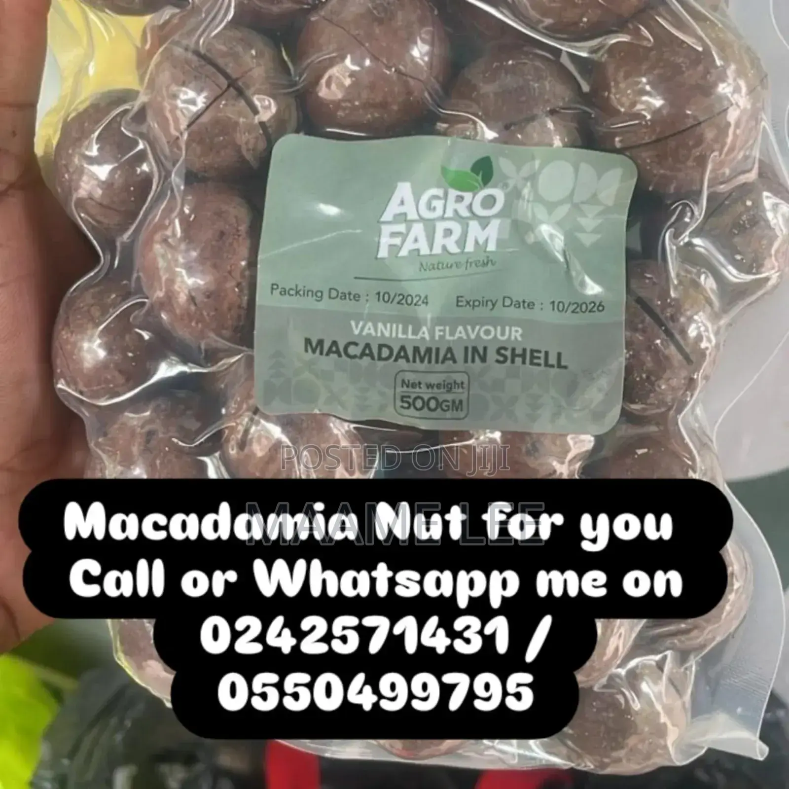 Macadamia Nut