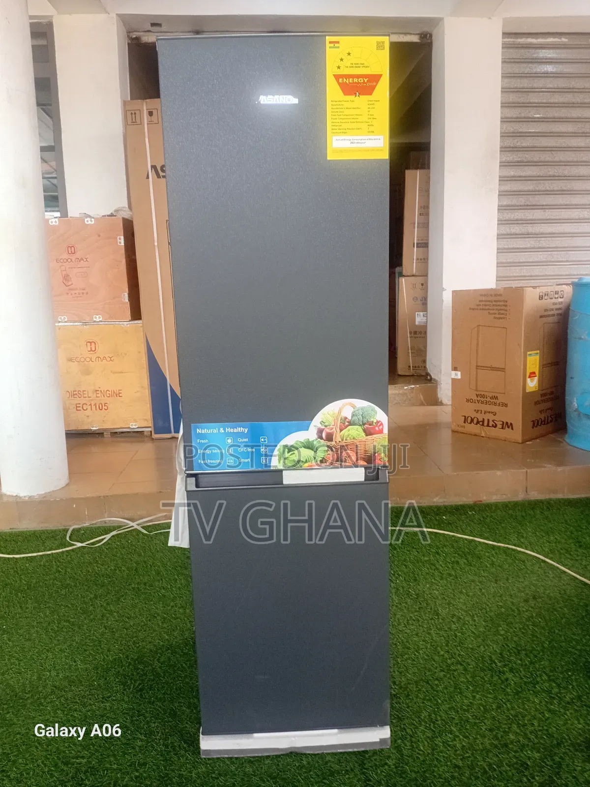 Ice Matrix Asano Freezer Double Freezer