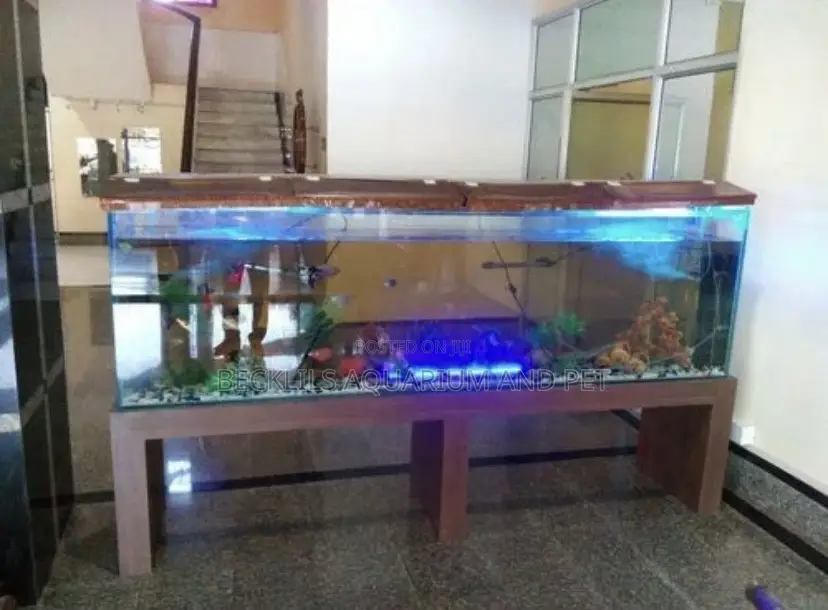 Point and Kill Aqurium. Glass Tank