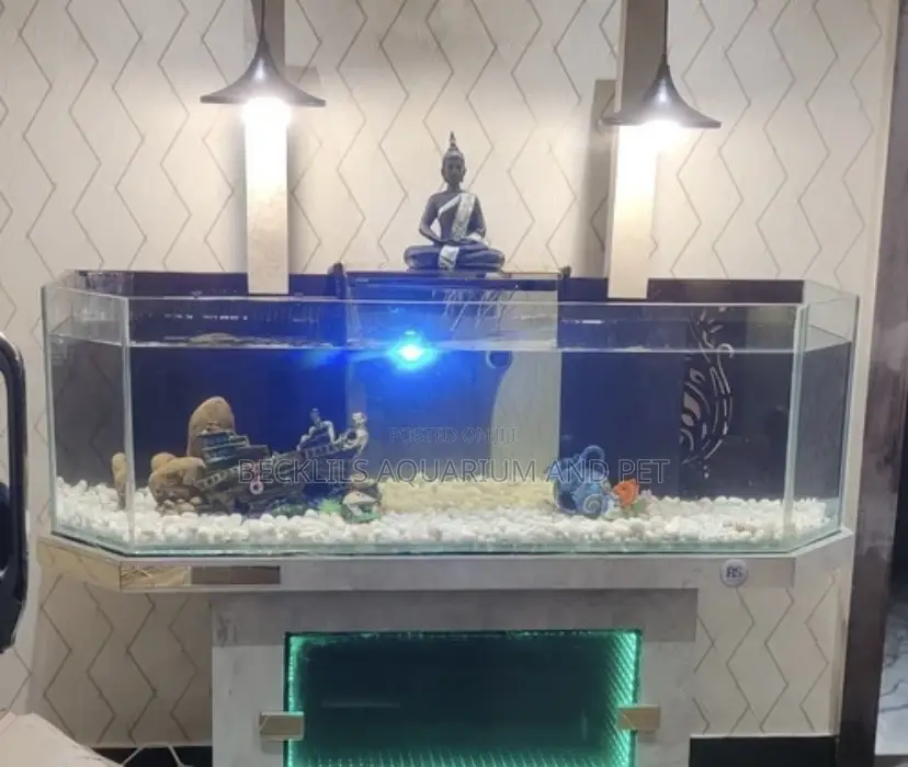 Point and Kill Aqurium. Glass Tank