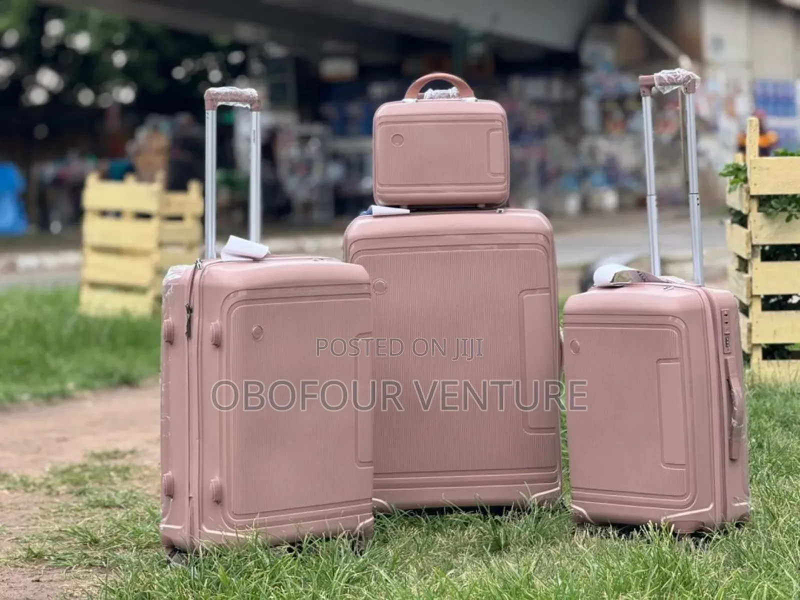 Rose Gold  Anticrake Luggage Bag   