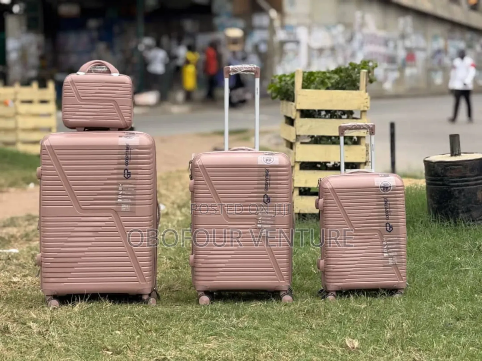 Rose Gold  Anticrake Luggage Bag   