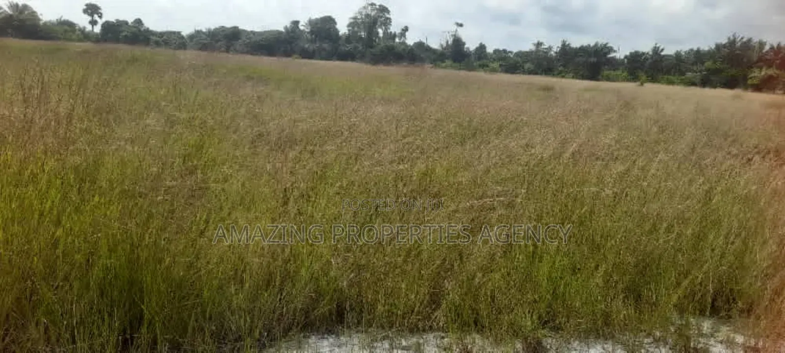 Over 2000 Acres of Land for Sale in Dawa