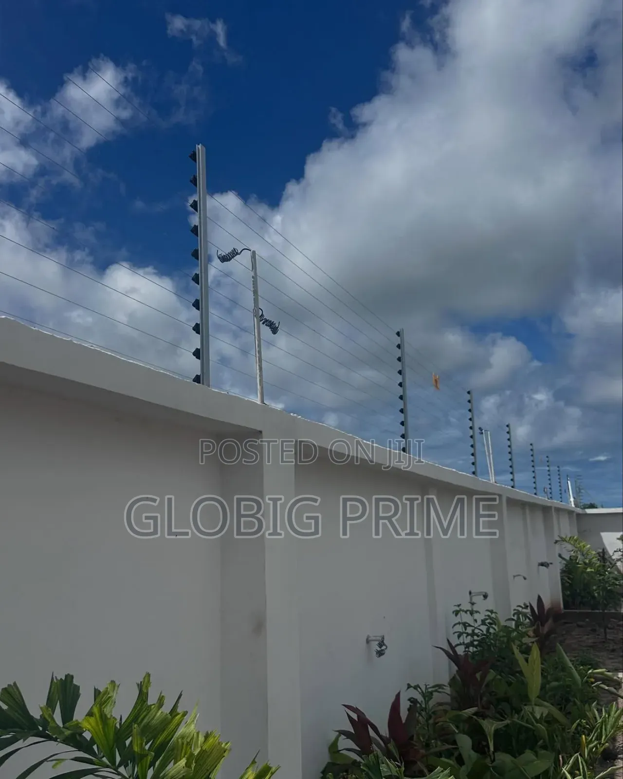 Digital Electric Fencing and CCTV