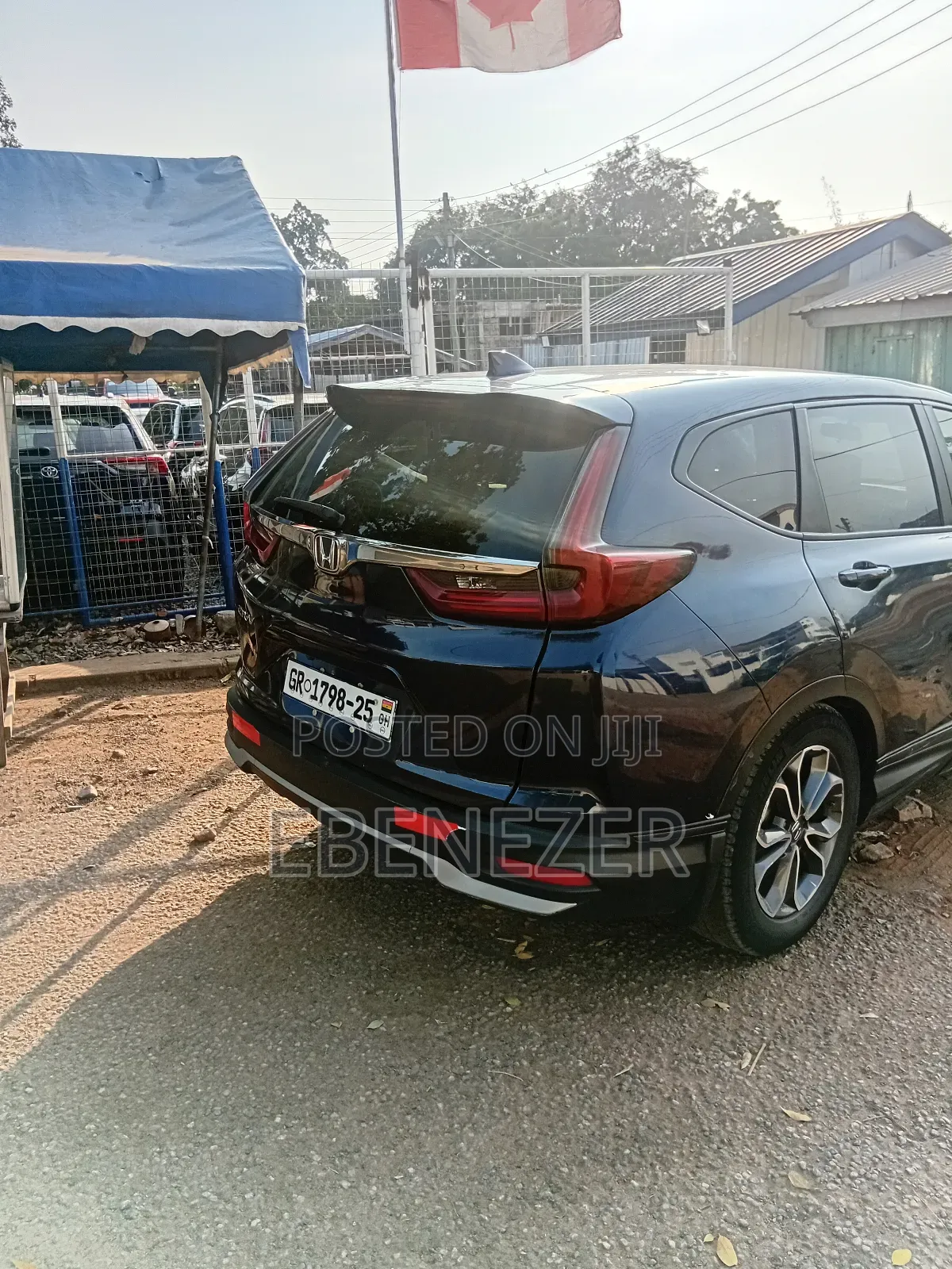 Cars Rentals