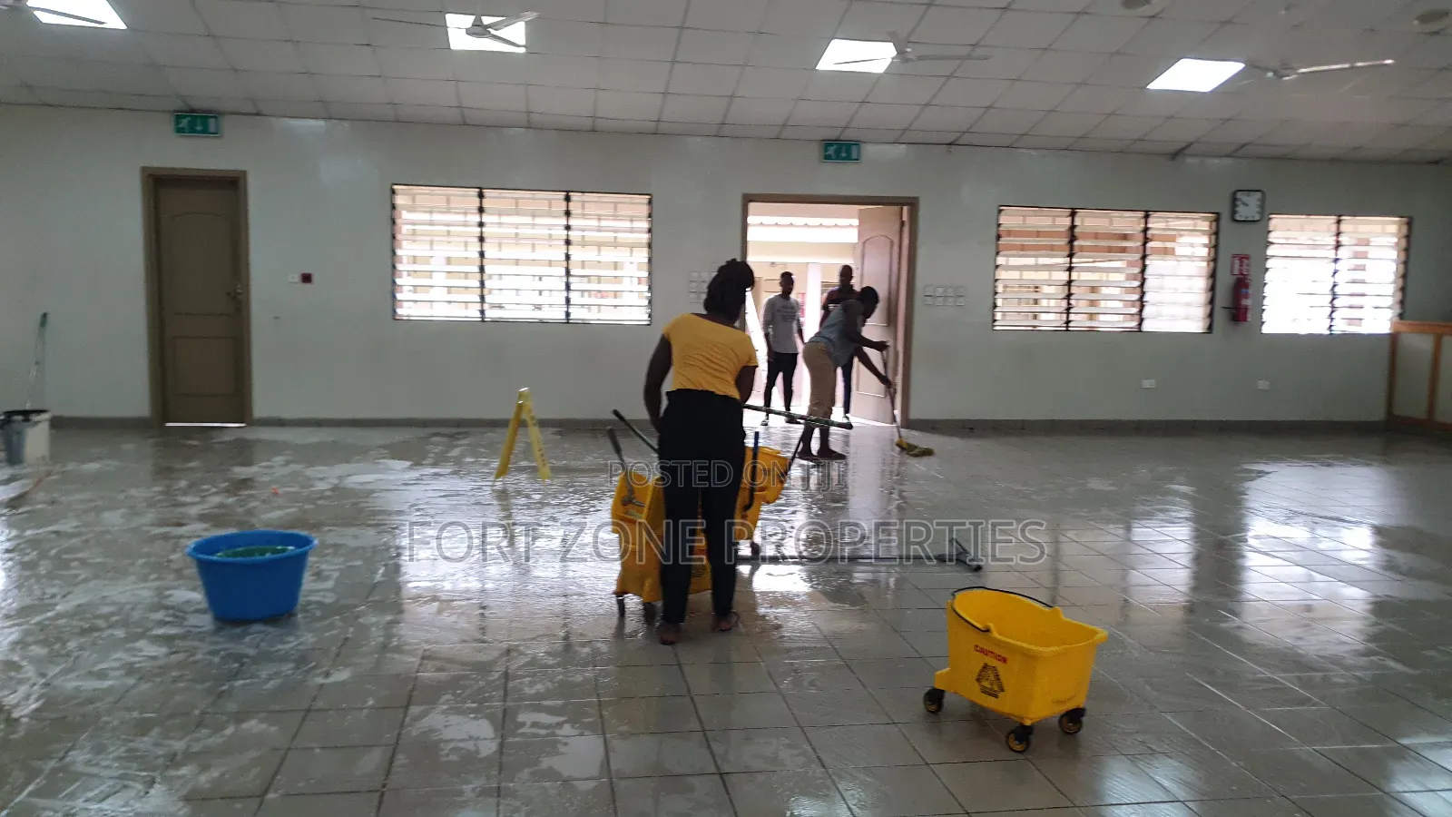 Scrubber Floor Tiles and General Cleaning
