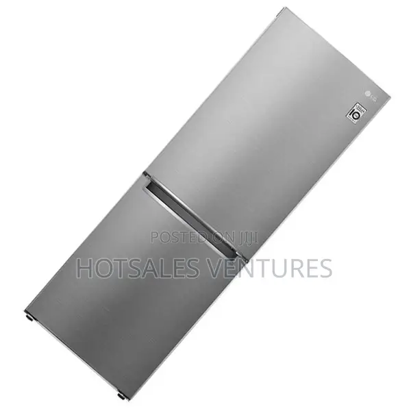 Best Lg 335l Double Door Bottom Freezer Silver Fridge-Gc-B399nljm