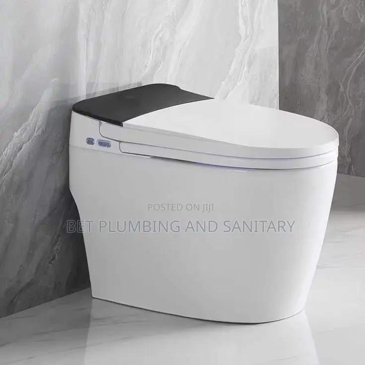 Imported Smart Water Closet_electric Wc _Sensor Wc_remote Control Wc
