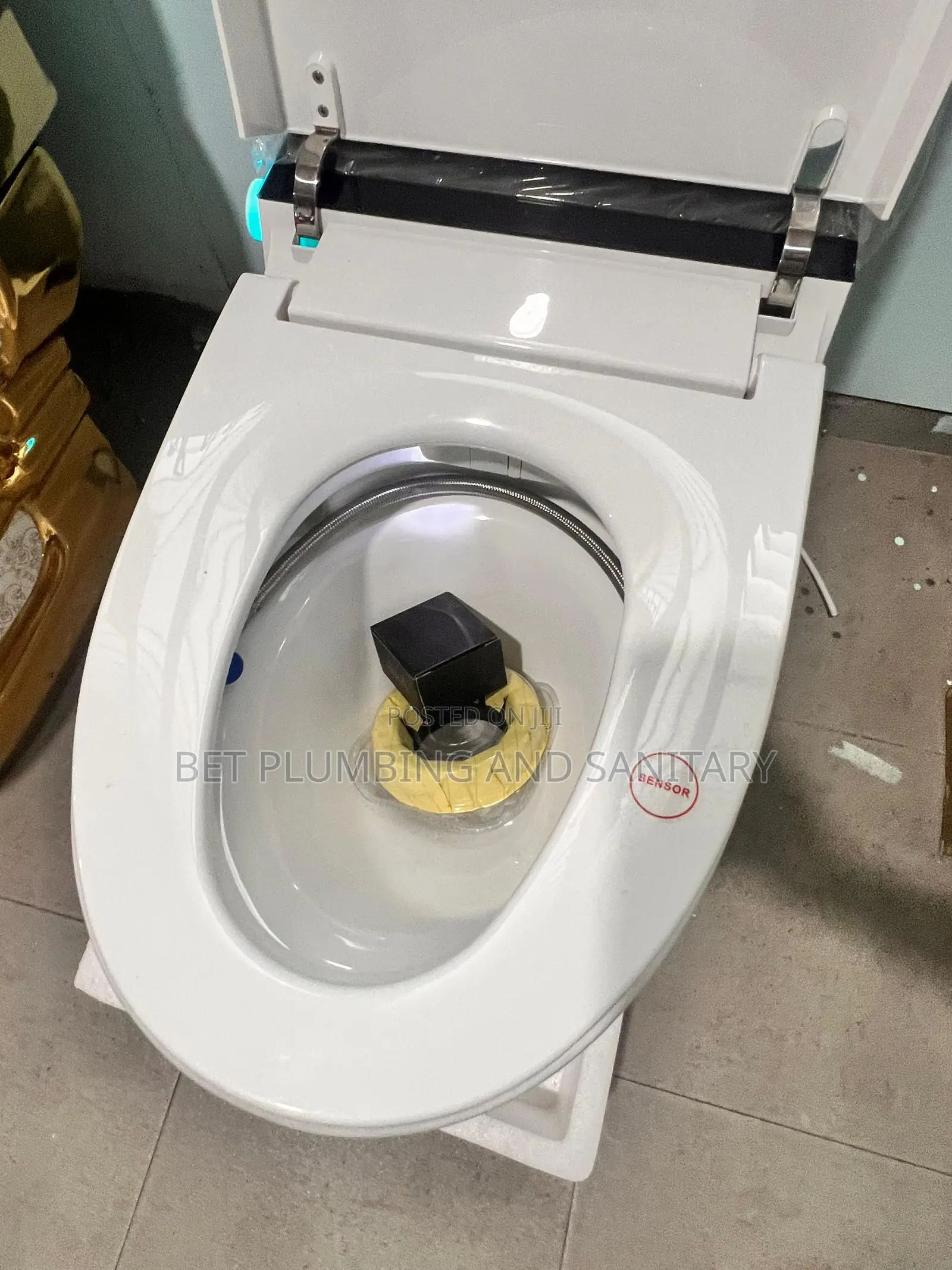 Imported Smart Water Closet_electric Wc _Sensor Wc_remote Control Wc