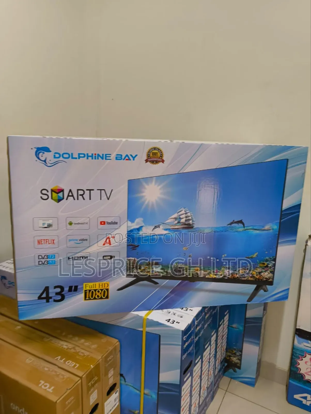 Discover a World of Content on Dolphin Smart Tv