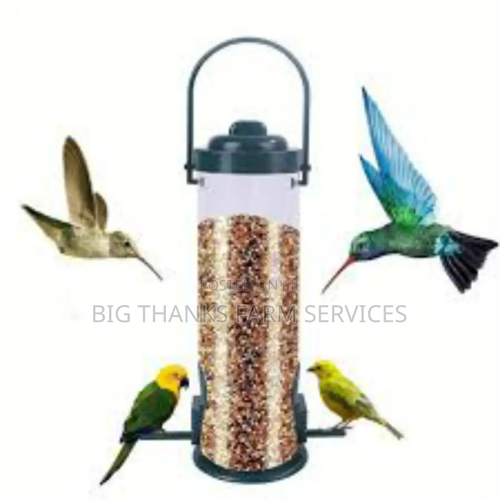 Bird Hanging Drinker/Feeders