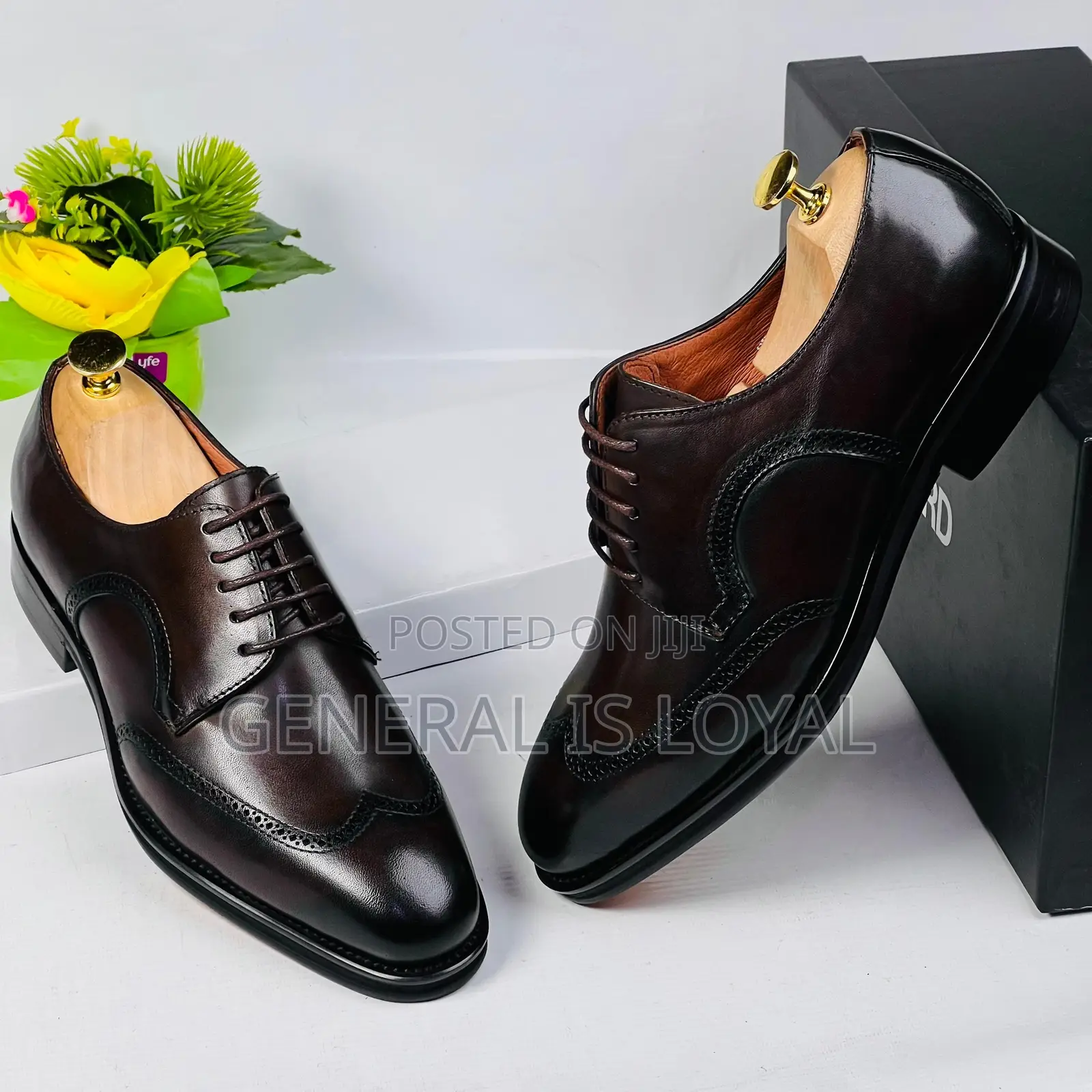 Tom Ford Dark Coffee Men Leather Shoe