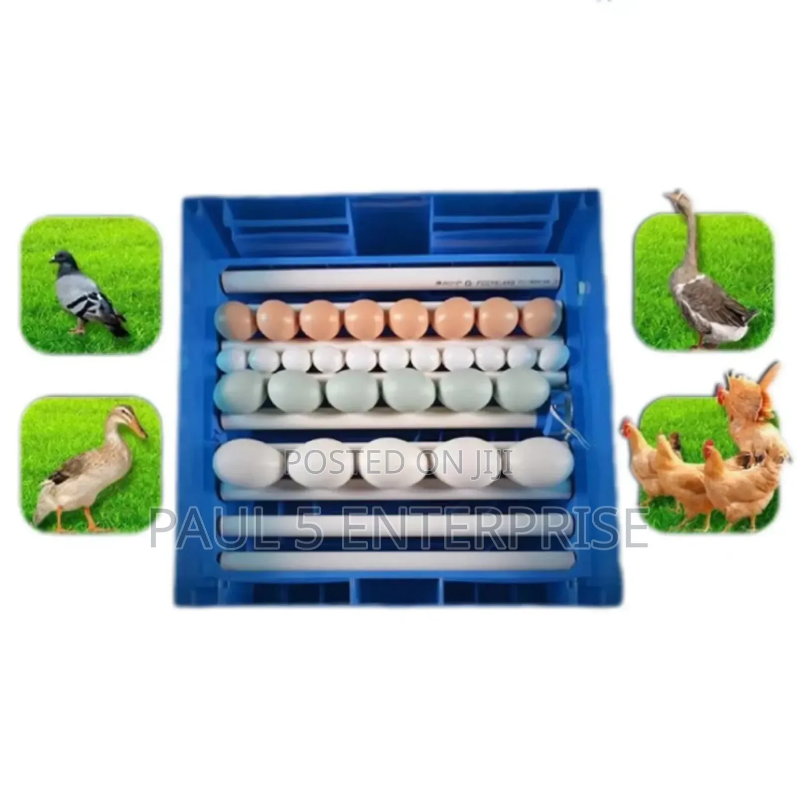 128egg I Incubator