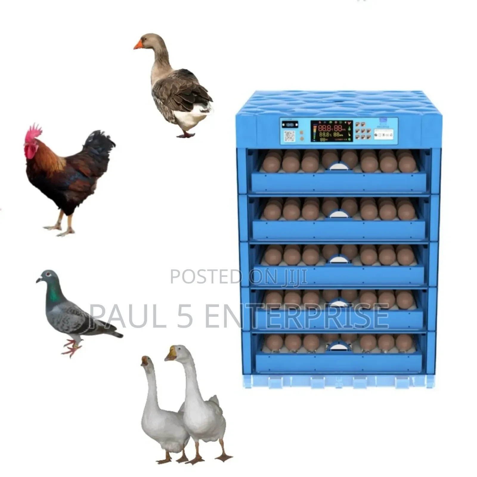256egg Incubator