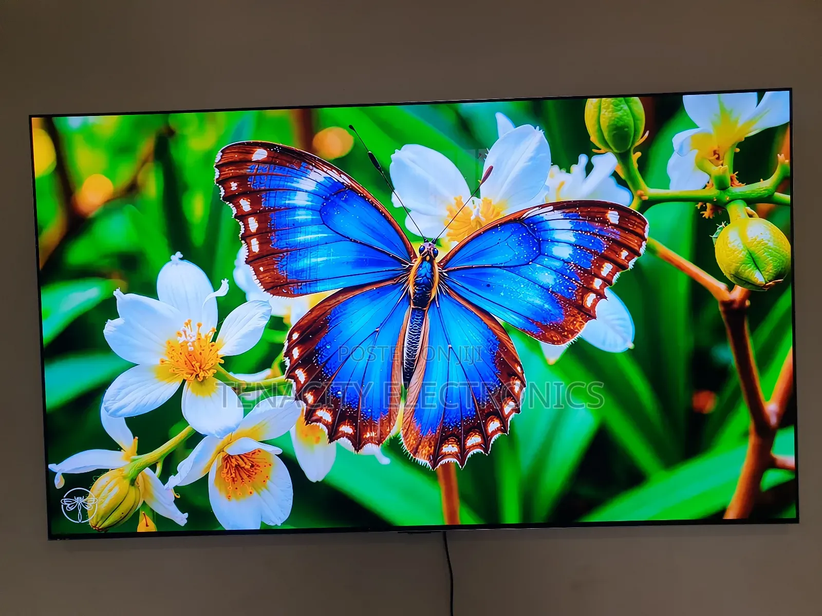 Lg Oled G3 Uhd HDR Smart Satellite Tv