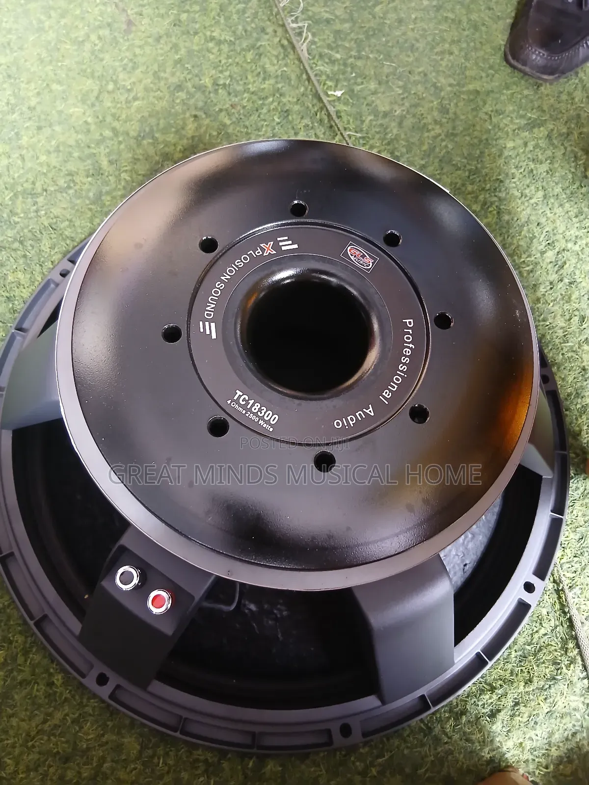 GLS 18" 2500 Watts Naked Speakers( Titanic)