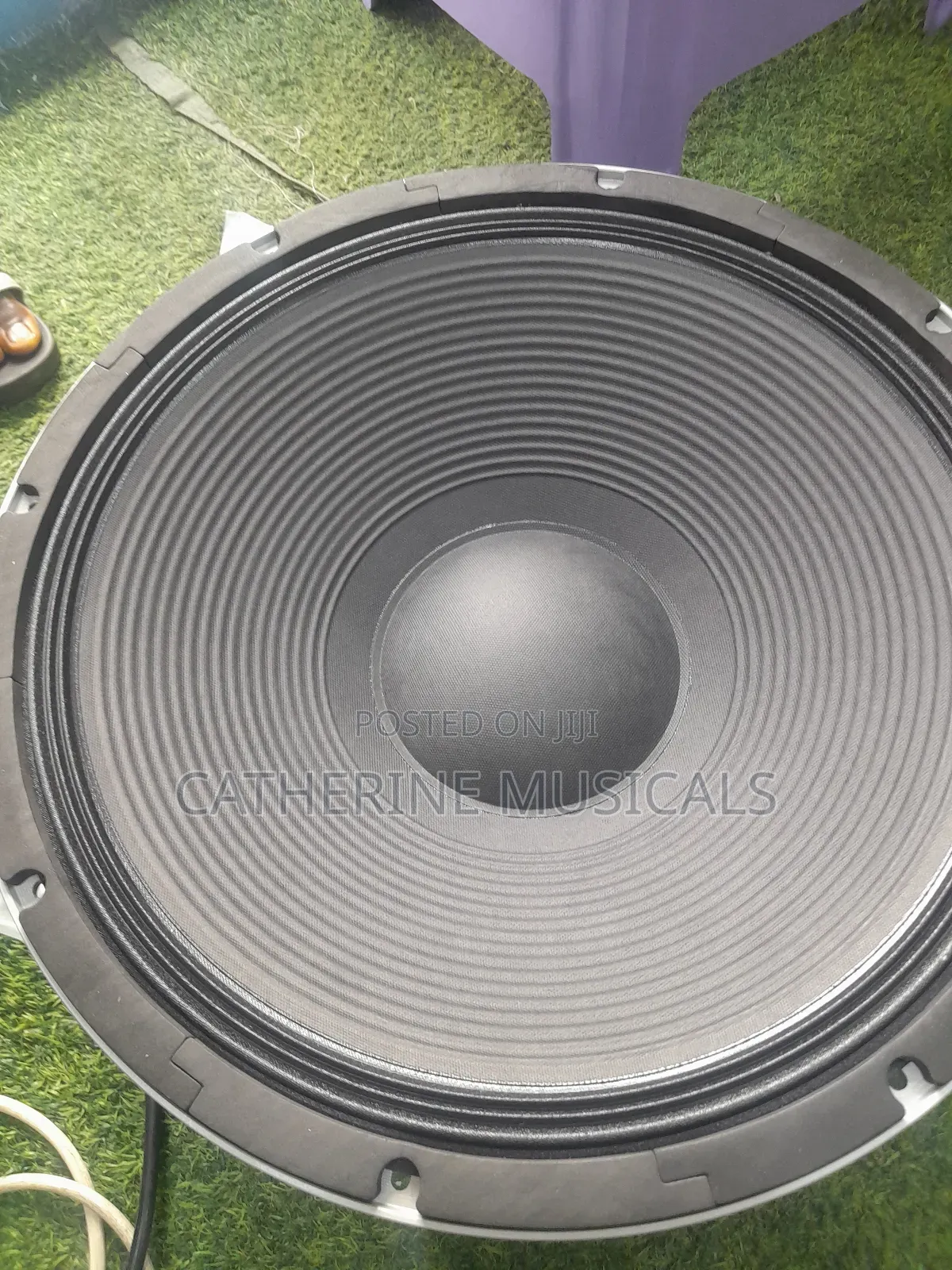 JLD 2500 Double Magnet Naked Speaker