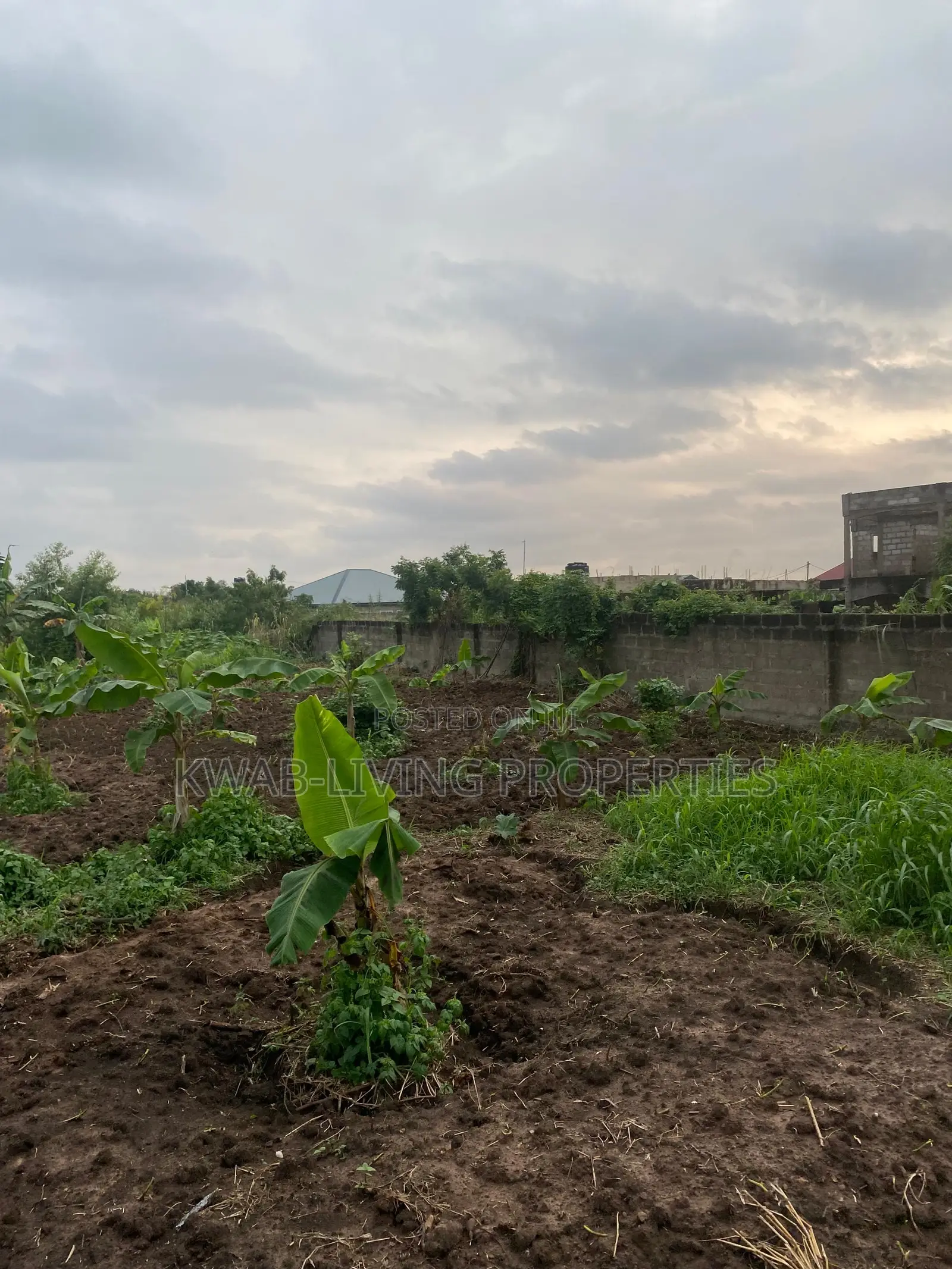 Land for Sale