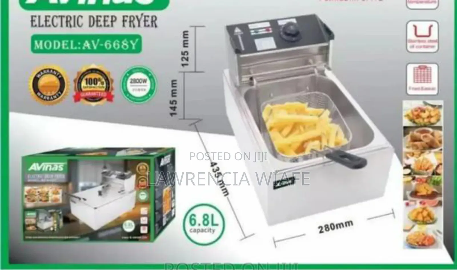 Electric Deep Fryer