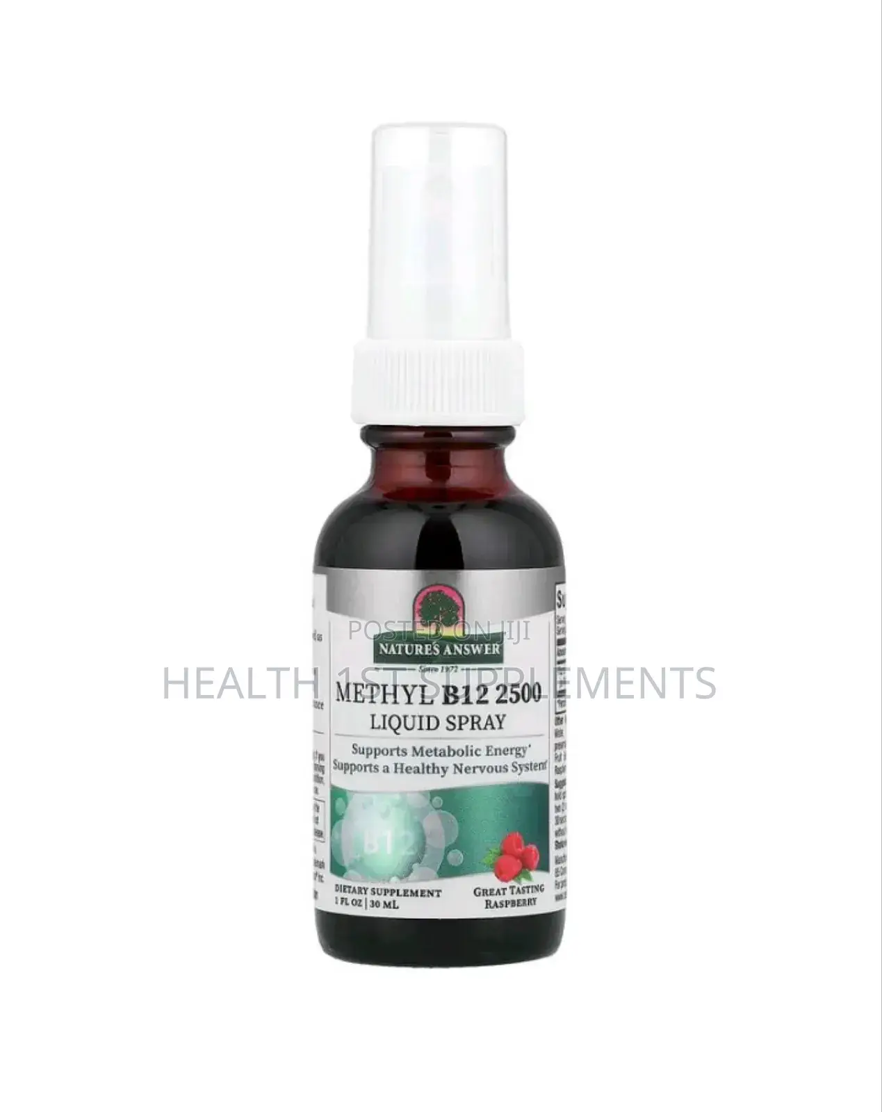 Nature's Answer Methylcobalamin B12 2500 MCG Liquid Spray, 30 Ml