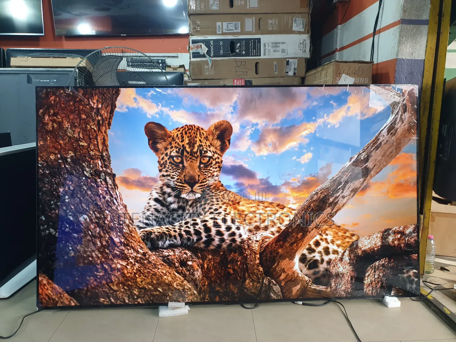 Oled Resolution Lg 77 Inches Smart Satellite Tv