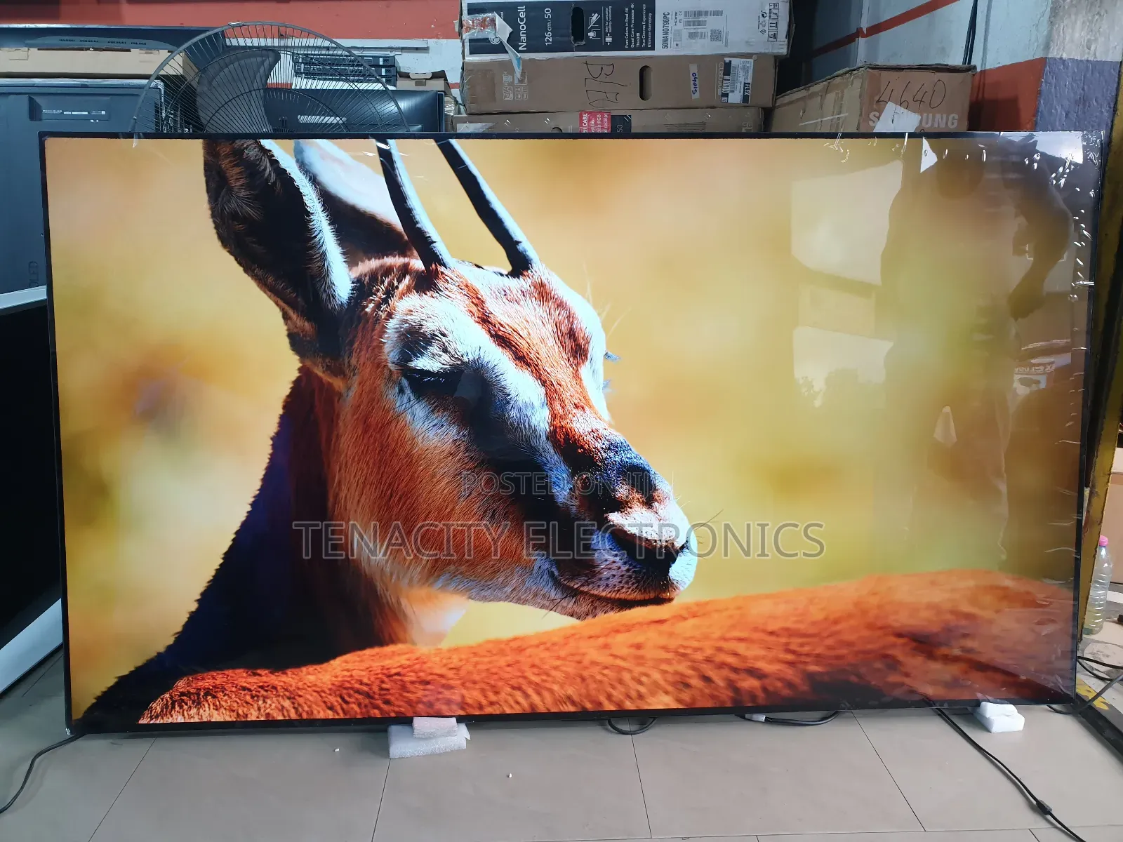Oled Resolution Lg 77 Inches Smart Satellite Tv