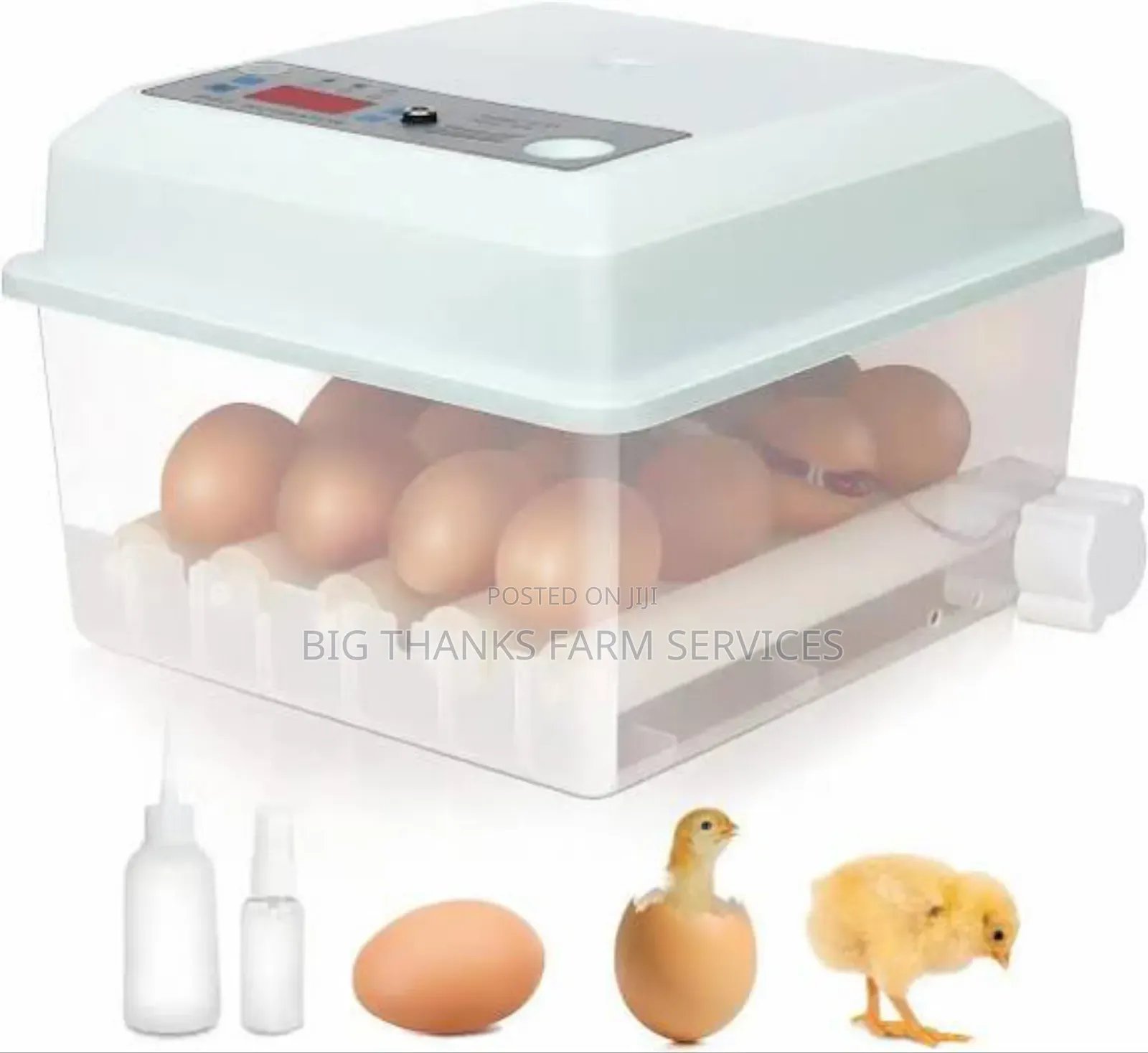 Egg Incubator, 64 Eggs Capacity,Dual Power