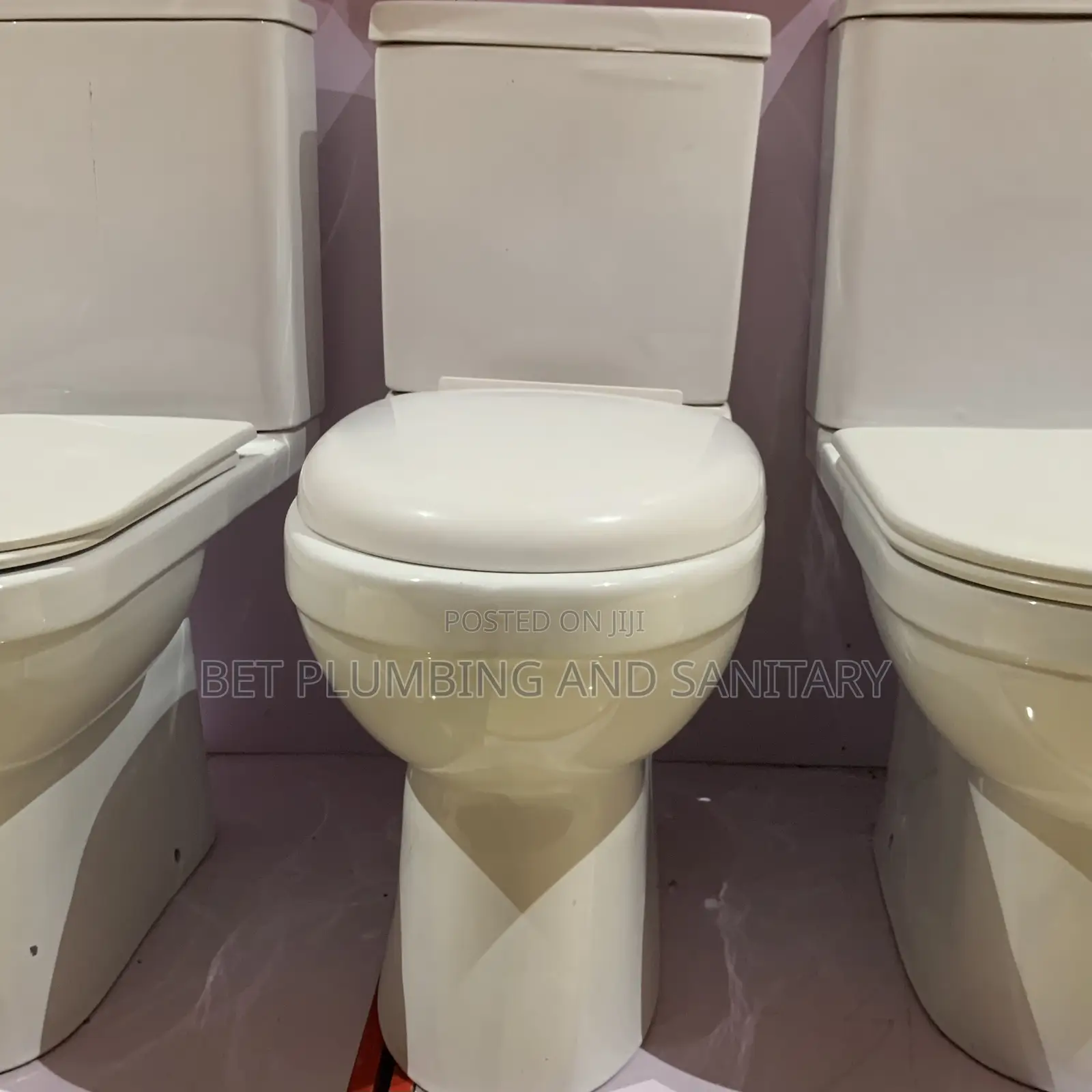 Imported Water Closet_frencia Big Tank Wc_soft Close Wc