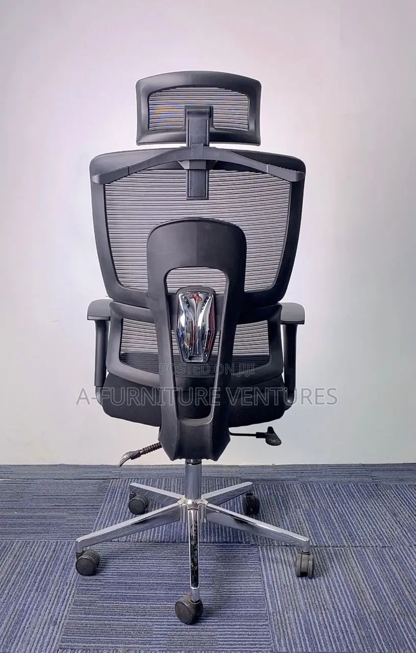 Executive Orthopedic Chair
