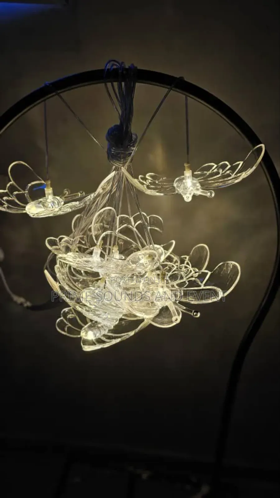 Pendant Light