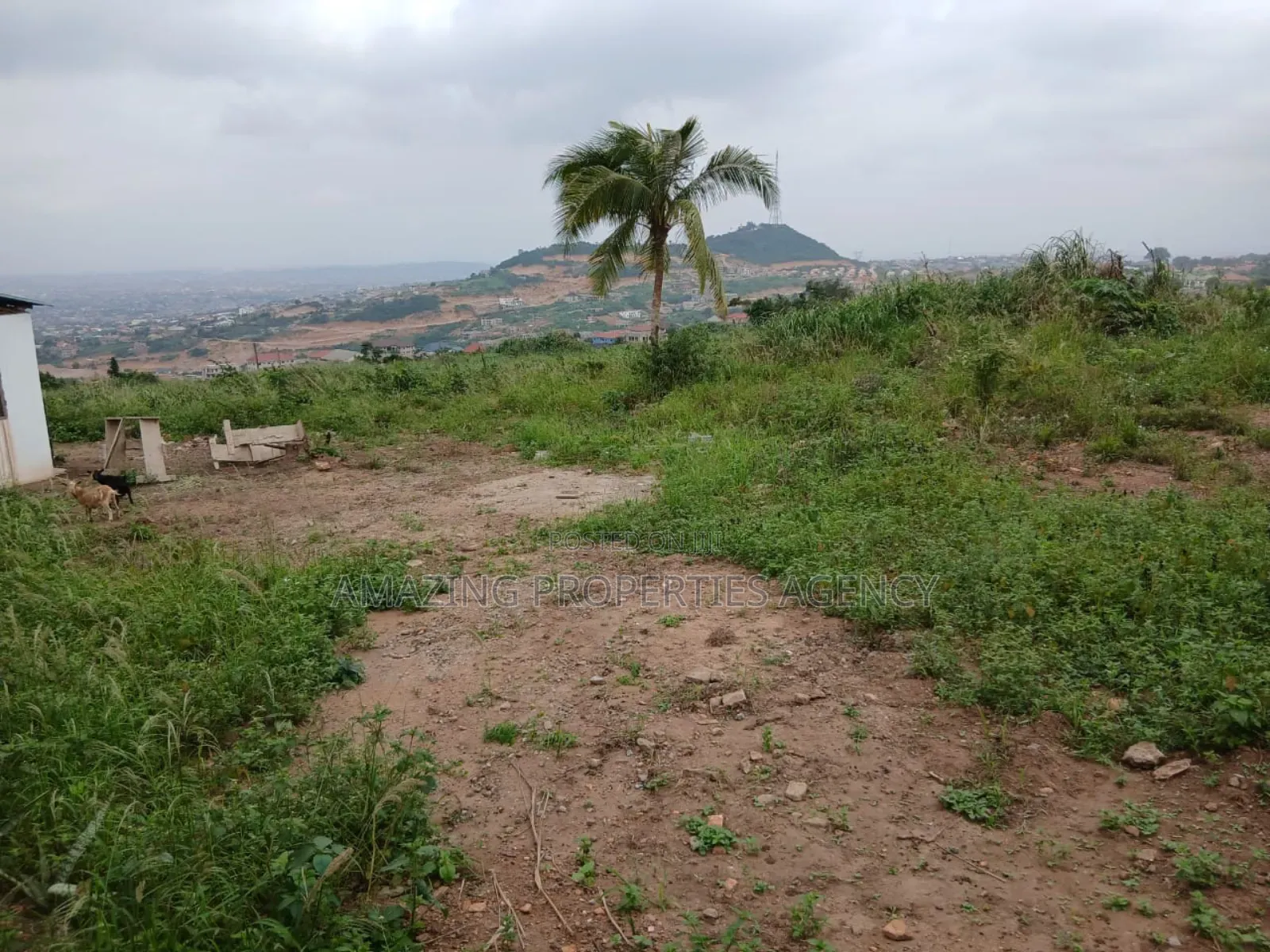 6 Acres of Land at Kwabenya